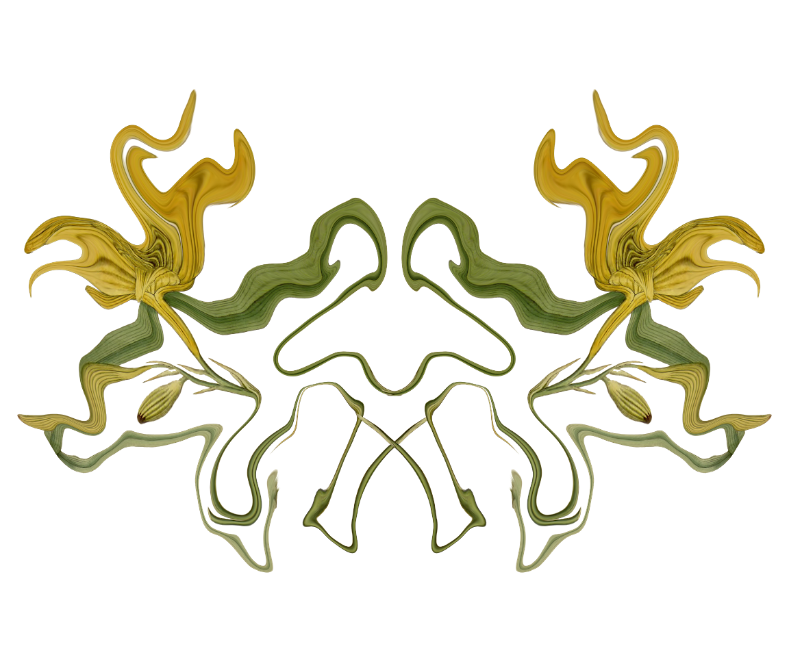 A symmetrical illustrated design.